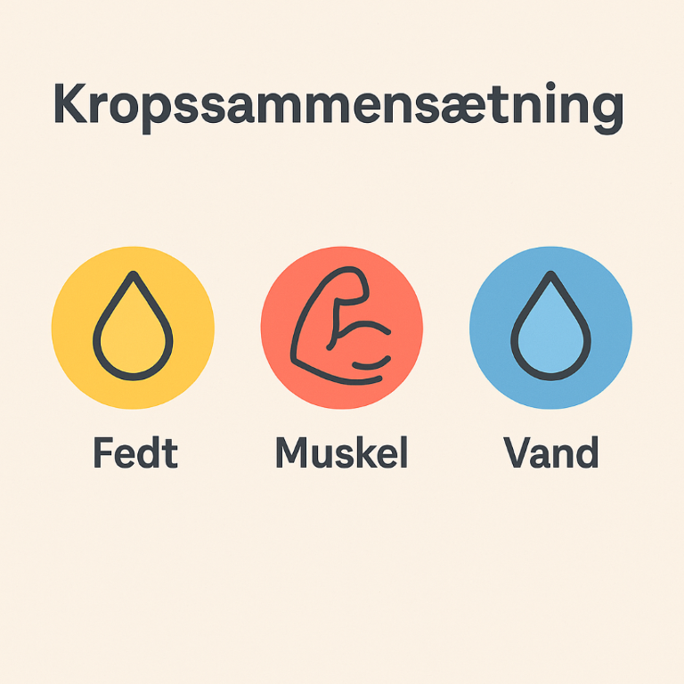 kropssammensætning